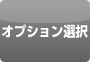 オプション選択