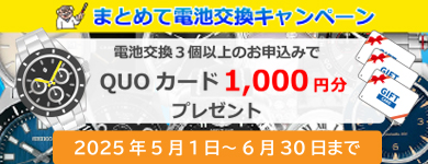 オーバーホールキャンペーン