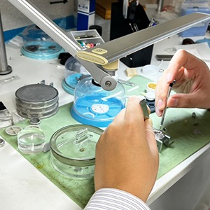 ></div>
  <div class=